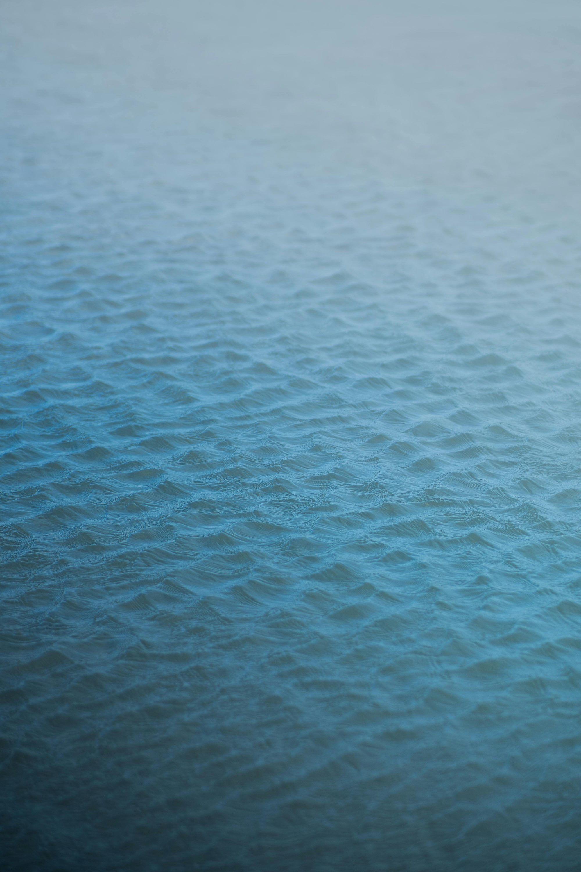 Blogbeitrag über Hochsensibilität – SEO & Copywriting Blog – The Soul of Words