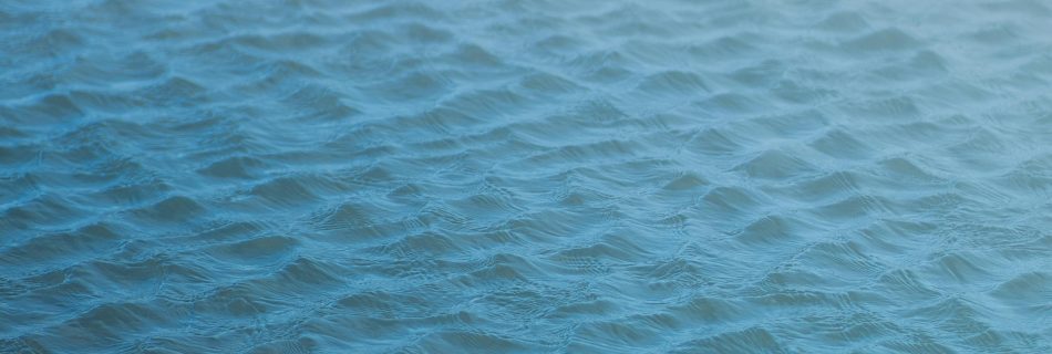 Blogbeitrag über Hochsensibilität – SEO & Copywriting Blog – The Soul of Words