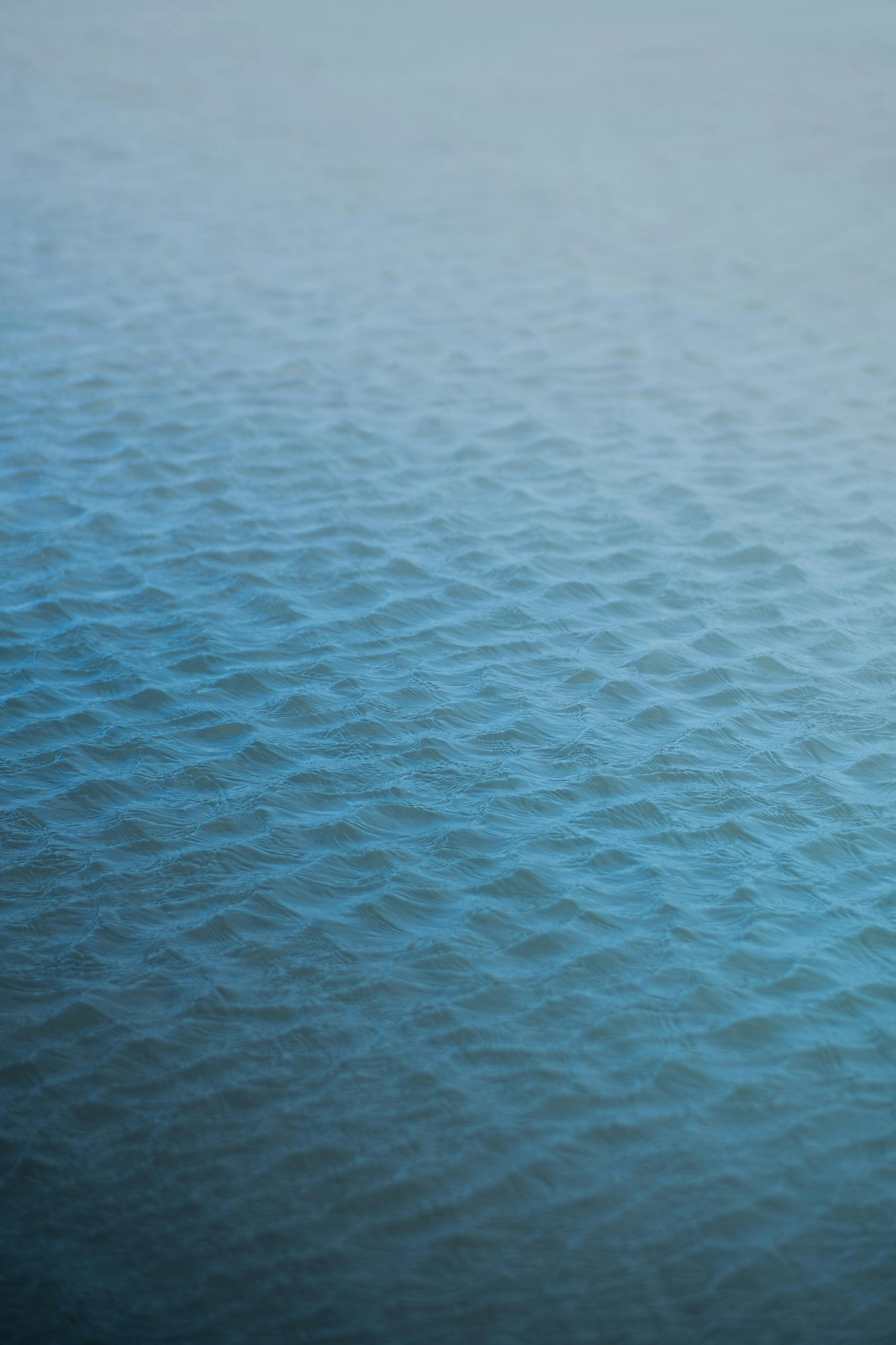 Blogbeitrag über Hochsensibilität – SEO & Copywriting Blog – The Soul of Words