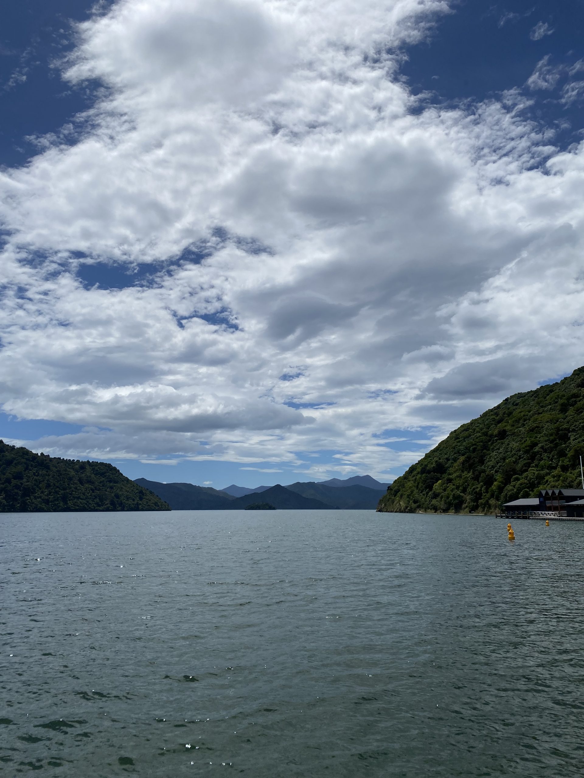 Einfahrt durch die Marlborough Sounds bei Picton auf der Südinsel Neuseelands.