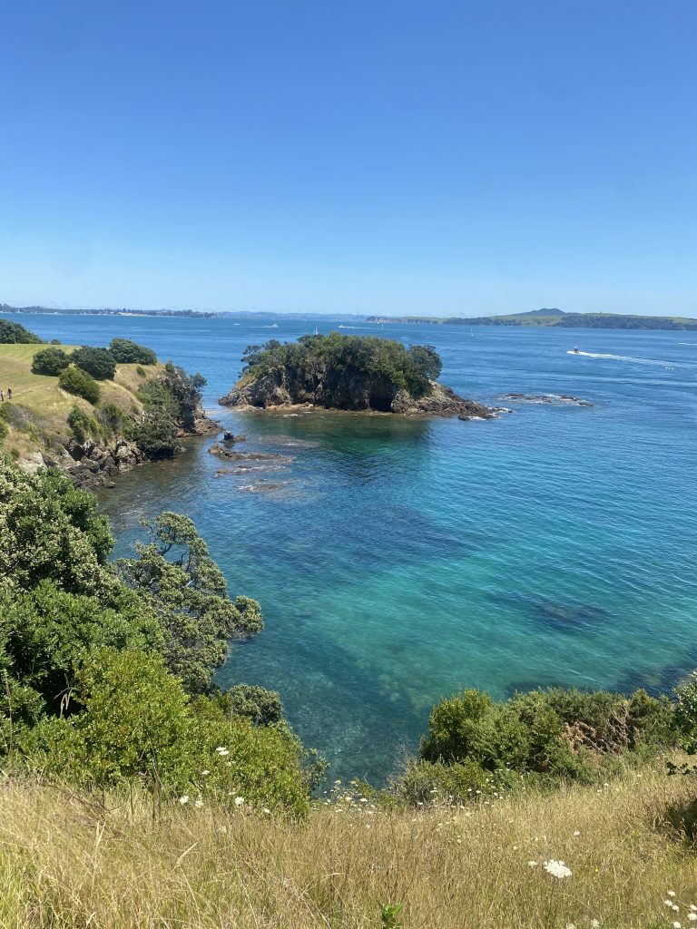 Küstenblick auf Waiheke Island bei Auckland. 