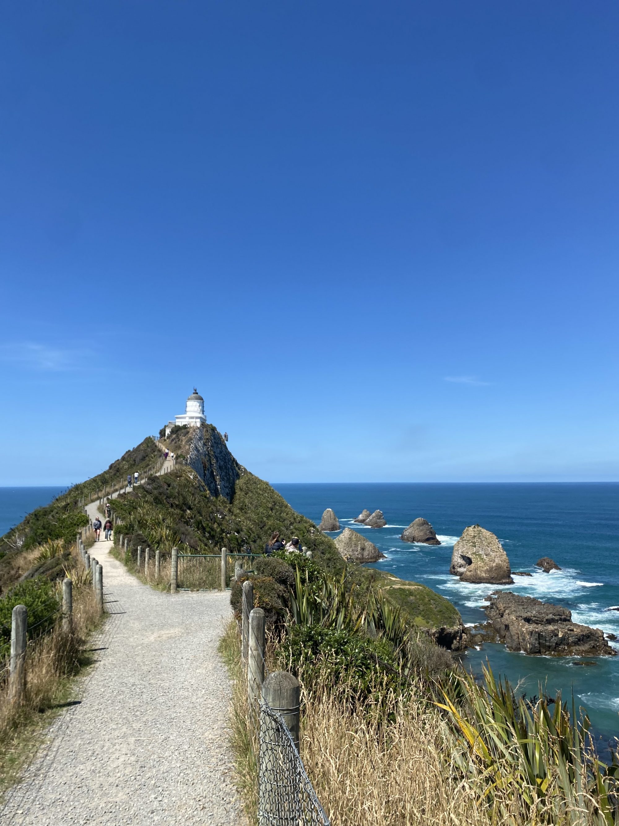 Nugget Point Lighthouse auf der Südinsel Neuseelands.