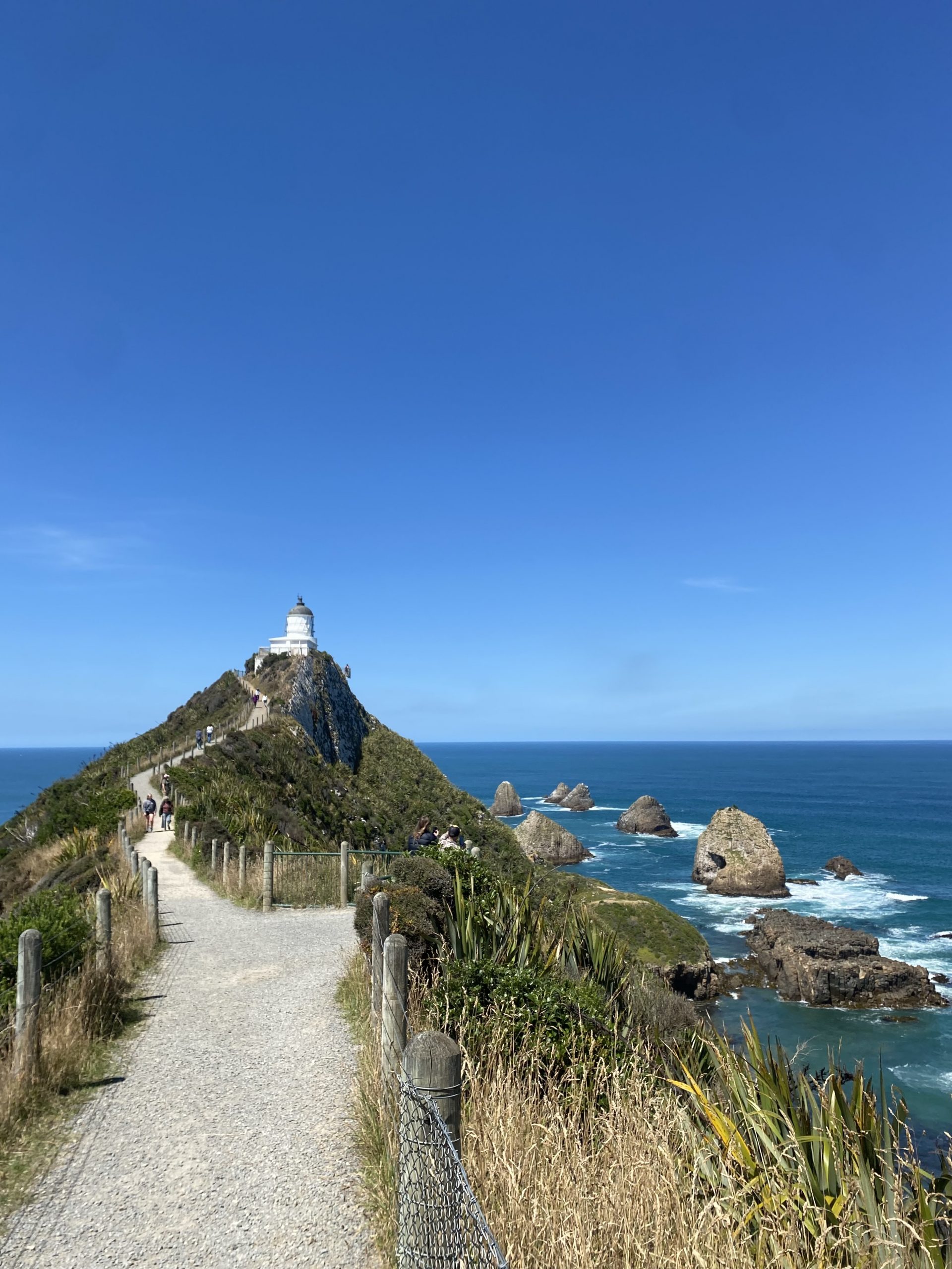 Nugget Point Lighthouse auf der Südinsel Neuseelands.