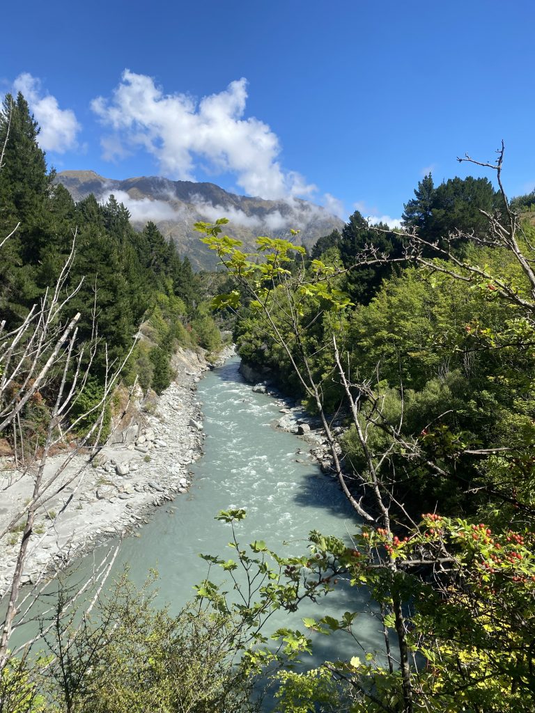 Ausblick auf den Shotover River vom Shotover Gorge Trail bei Arthur’s Point.